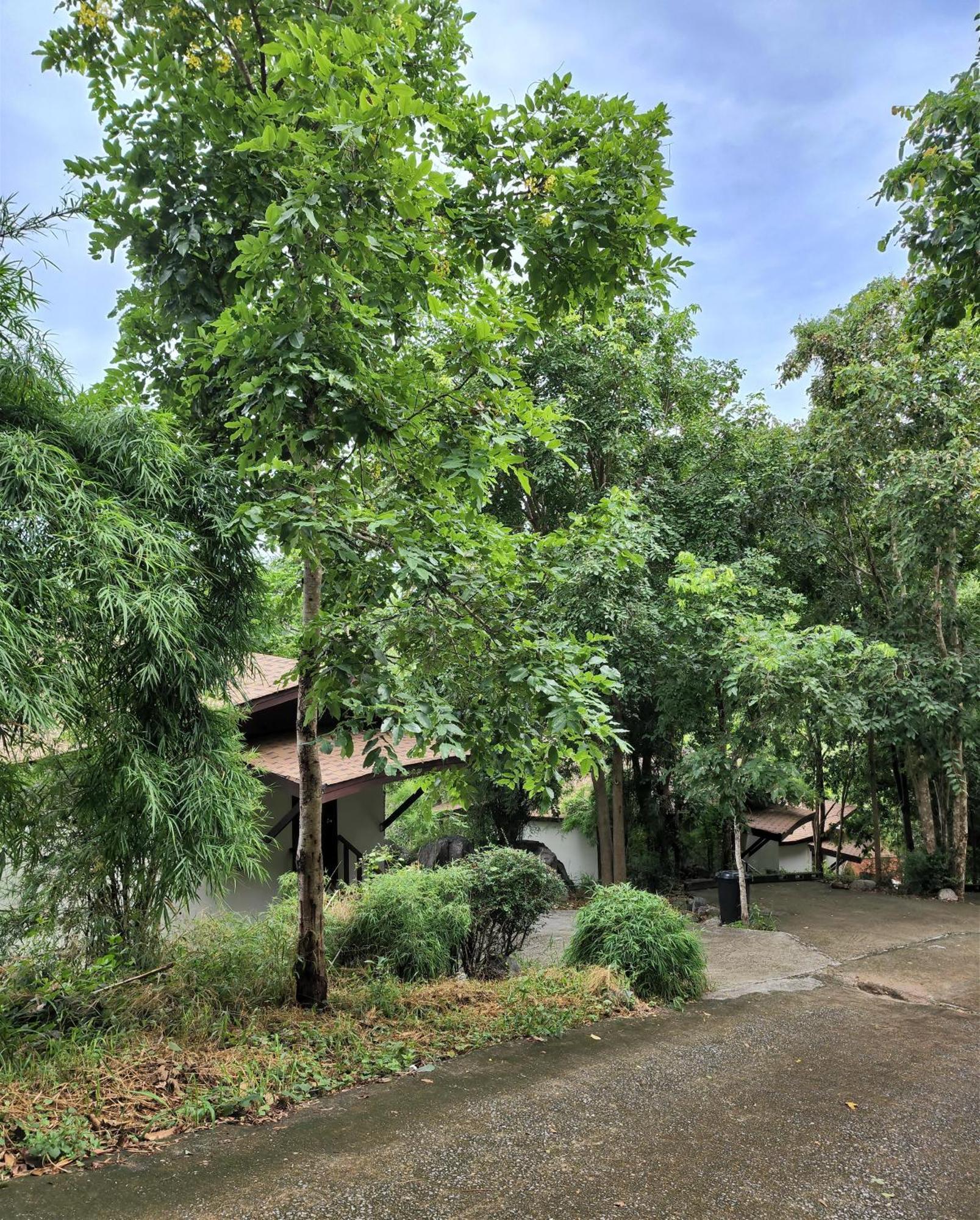 华欣山冈度假屋 外观 照片